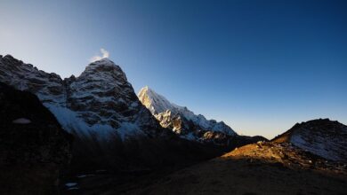 Die besten Übungen für den oberen Rücken
