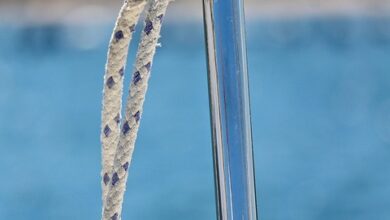 Sport und Nachhaltigkeit: Umweltbewusst trainieren